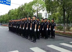 賽兔數(shù)碼科技