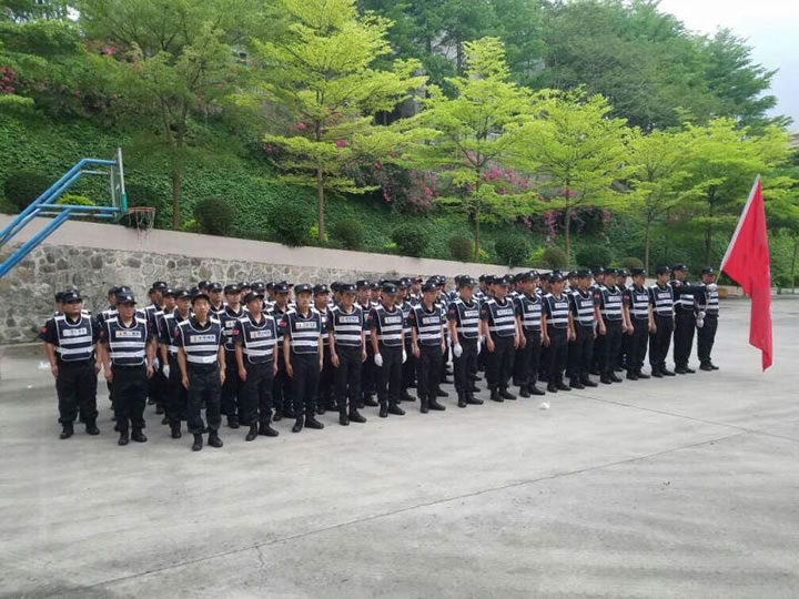 樂從執法隊